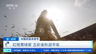 [第一时间]中国农民丰收节 红橙黄绿紫 五彩金秋迎丰收|CCTV财经