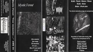 Mystic Forest - \