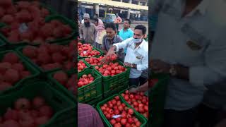 A.m.k fruits c 12 market yard Solapur 8.20.218