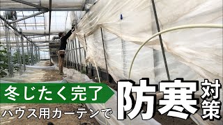 ハウスきゅうり専用カーテンで防寒対策完了！