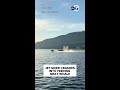 Jet skier crashes into feeding whale