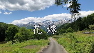 花嫁（歌詞・コードあり）