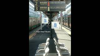 【国府津駅】東海道線-御殿場線接続/connection of main\u0026branch line around Tokyo#鉄道#shorts