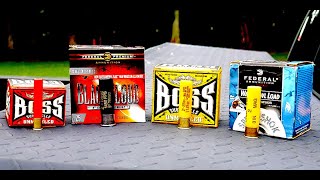 BOSS 20GA AND  410 PATTERN TEST!!! CAN IT COMPARE TO STEEL?