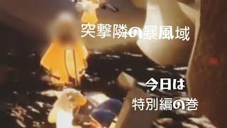 突撃隣の暴風域　今日は特別編の巻