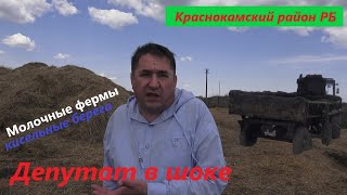 Передовая ферма. То что не показывают Хабирову.