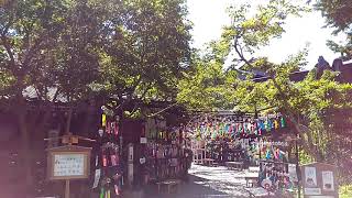 福岡県田川市平等寺の風鈴祭り（入り口付近）