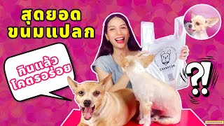 สุดยอดขนมน้องหมาโคตรแปลก ที่กินแล้วต้อง...!?🐶🐶 【SNACKDOG】