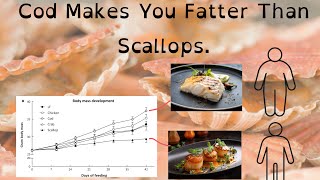 Cod Makes You Fatter Than Scallops.