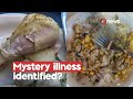 Food Safety identify potential cause of Canterbury Uni student illness | 1News on TVNZ+