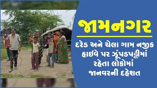 જામનગર: દરેડ અને ચેલા ગામ નજીક હાઇવે પર ઝૂંપડપટ્ટીમાં રહેતા લોકોમાં જાનવરની દહેશત