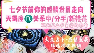 黑貓塔羅 七夕節前你的感情發展 天蠍座♏️關係中 分手複合 桃花