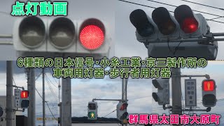 【信号機撮影#140】群馬県太田市大原町 京三VAC型＆日本信号分割型ブツブツレンズ・日本信号六角型・小糸おにぎり型 点灯動画