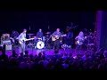 The Feelies - 