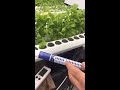 EC and Hydroponic Farming