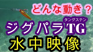 ジグパラTG　水中映像　どんな動き？【ショアジギング】なぜそんなに釣れるのか？