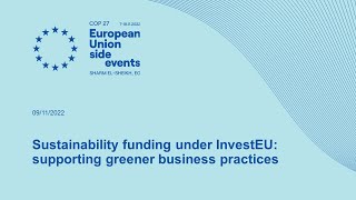 Sustainability funding under InvestEU: supporting greener business practices