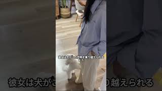 飼い主が仕事に出かけたときの犬の反応