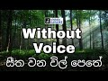 Seetha wana wil pethe karaoke සීත වන විල් පෙතේ Irin de alwis අයිරිං ද අල්විස් Sinhala Karaoke