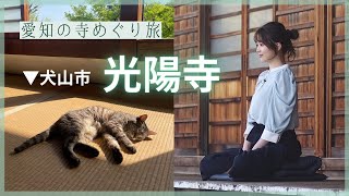 【愛知の寺めぐり旅】犬山市・光陽寺 ▽テレビ愛知アナウンサーが座禅【なな THE禅】