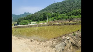 [부동산백화점]502.영암군토지매매 영암군땅매매 영암군주말농장 영암군부동산 영암군전원주택지 영암군주택지매매 영암학산면토지매매 영암군농지매매 영암군논매매 영암군산아래토지