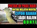 Putar di Pagi Hari : Cara Untuk Melatih Mental Cipoh / Sirtu Bahan Bakalan