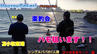 【北海道】苫小牧東港サーフ　楽釣会とクロガシラ釣り＆ハモ調査　シングルパパの１人酒　苫小牧東港サーフ編