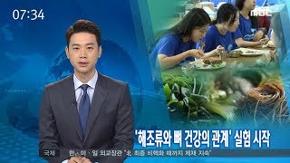 '해조류와 뼈건강의 관계', 실험 시작 - R (180709월/뉴스투데이)