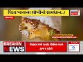 rajkot news મફત ડુંગળી લેવા લોકોએ મચાવી લૂંટ onion gujarati news news18 gujarati