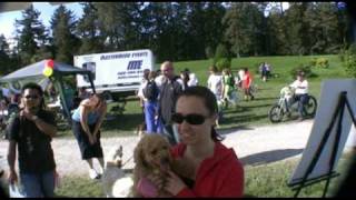 2009 IAMS Wiggle Waggle Walkathon - Clip 26