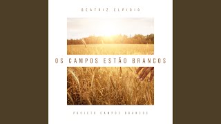 Os Campos Estão Brancos