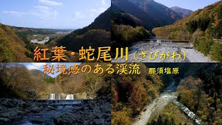 紅葉・蛇尾川 秘境感のある渓流  那須塩原