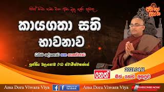 කායගතා සති භාවනාව |Ven Balangoda Radha Thero | Ama Dora Viwara Viya| Kayagatha Sathi Bhawanawa