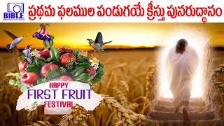 Feast of First fruits ప్రథమ ఫలముల పండుగ EP-108 ||BibleUnknownFactsTelugu||