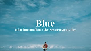 Blue - color intermediate | Eldhose - Leenu | A Wedding Film by Absolutely Knot - Bonafide Weddings