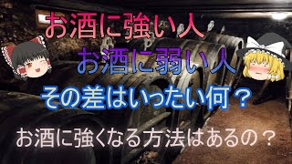 お酒に強い人と弱い人の違いとはー強くなる方法ー【ゆっくり解説】