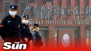 Calls to investigate Covid-19 origin after report of sick staff at Wuhan lab prior to outbreak