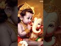 Krishna and Ganesha 🙏🙏 #flute #music #song #love #festivallovers #tamil #diwalifastival #nature