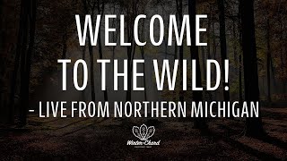 Welcome to the Wild! LIVE from Northern Michigan