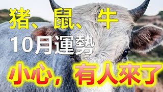 2024生肖運勢，阿南德分析2024十二生肖2023年10月：生肖豬，鼠，牛，心態得定，蓬勃向上！10月各種屬相的人都將面臨不同運勢的月份。對於屬相豬、屬相鼠、屬相牛的人來說，他們將會經歷挑戰和機遇。