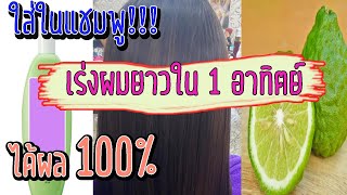 สุดทึ่ง!!!อยากผมยาวไวใน1อาทิตย์ต้องใส่สิ่งที่ในยาสระผม l GROW YOUR HAIR FASTER \u0026 LONGER IN 1 WEEK