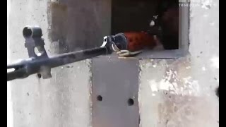 Гроші. Відкритий кордон
