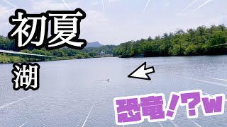 どんちゃんと湖へお散歩にいってみたら・・・！？w