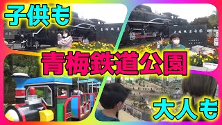 ★青梅鉄道公園★１００円で遊べるテーマパーク★