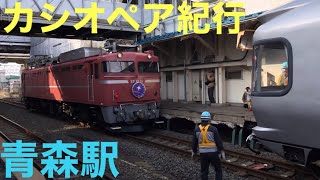 【カシオペア紀行】寝台特急 カシオペア紀行 青森行 EF81 81+E26系客車 青森到着→入れ換え→返却 発車