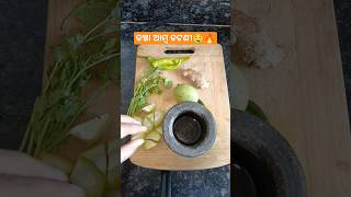 ଖଟା ମିଠା କଞ୍ଚା ଆମ୍ବ ଚଟଣି /kancha amba chatani recipe 🤤 (Raw mango chutney recipe)#odiablogger