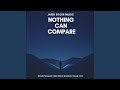 Nothing can compare
