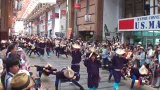 セントラルグループ踊り子隊・その２　～2013高知よさこい祭り・本祭２日目(はりまや橋競演場)