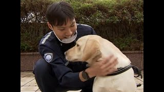 訓練者との固い絆…麻薬探知犬として新たに7頭認定！／チバテレ「NEWSチバ930」2020年12月10日放送