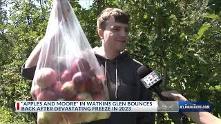 Watkins Glen apple orchard bounces back after devastating freeze